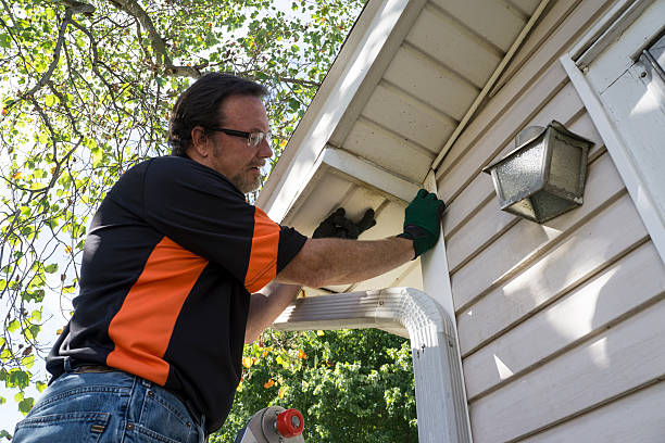 Affordable Siding Repair and Maintenance Services in West Whittier Los Nietos, CA